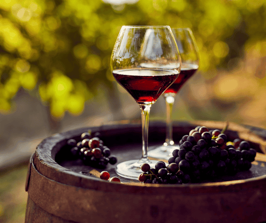I Migliori Vini Rossi del Lago di Garda: Le Eccellenze del Territorio - FeelGarda