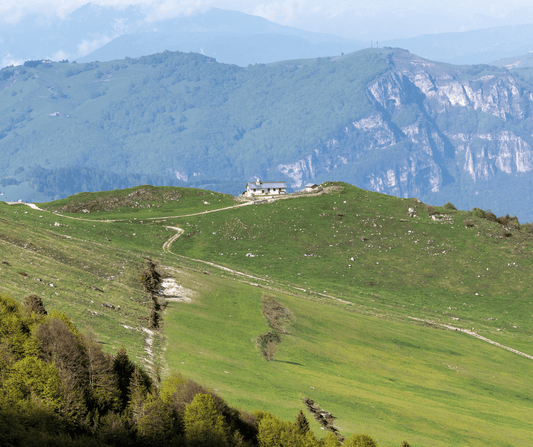 Le Migliori Escursioni a Piedi con Vista sul Lago di Garda - FeelGarda