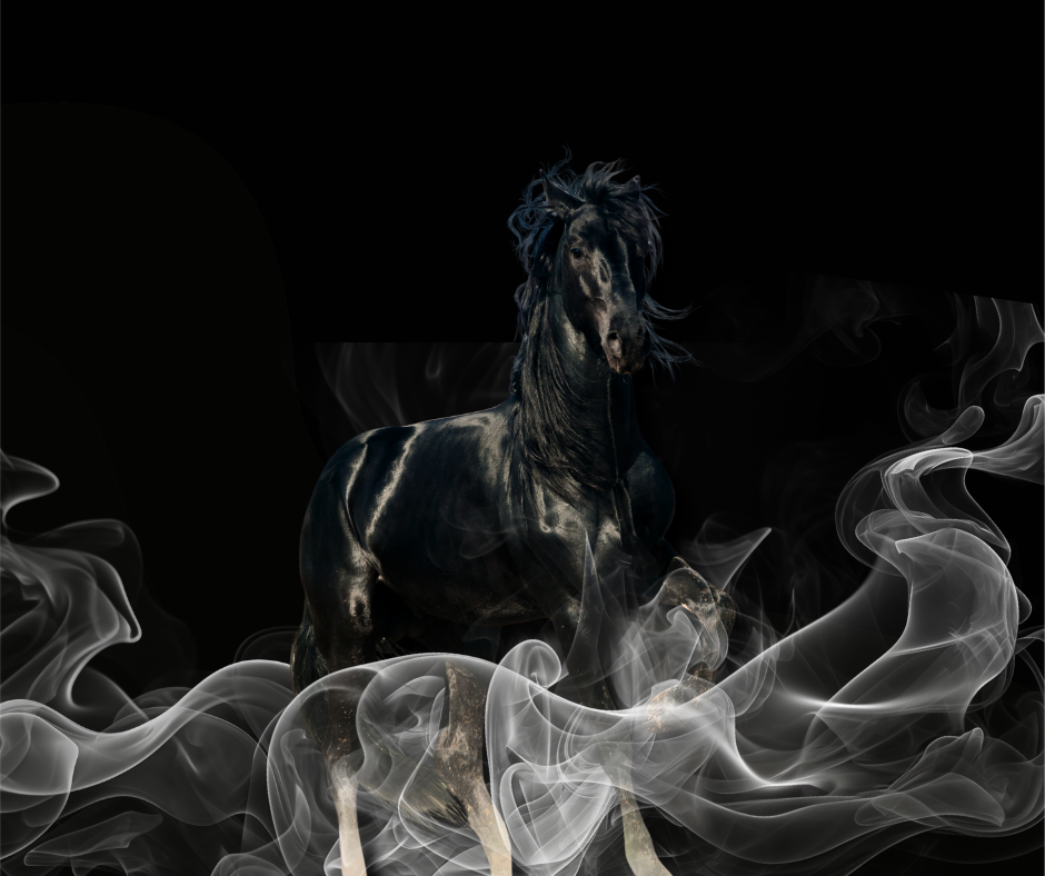 Cavallo nero ispirato al vino Indomito