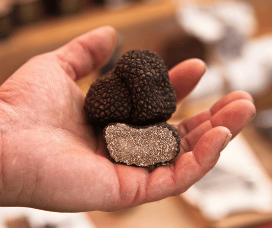 Tartufo nero