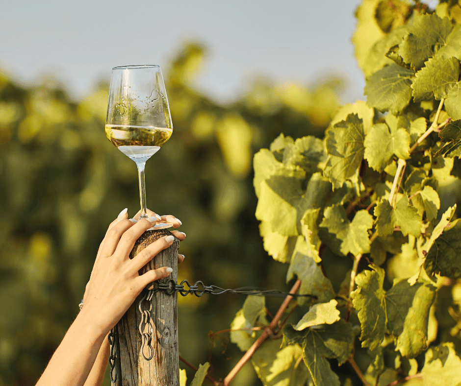 Vini Bianchi del Lago di Garda – Tesoro da Scoprire - FeelGarda