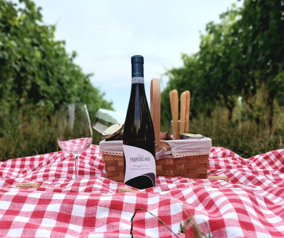 Vino Lugana: il bianco del Lago di Garda che devi assolutamente provare