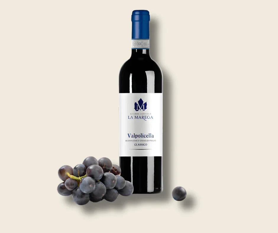 Valpolicella Classico 